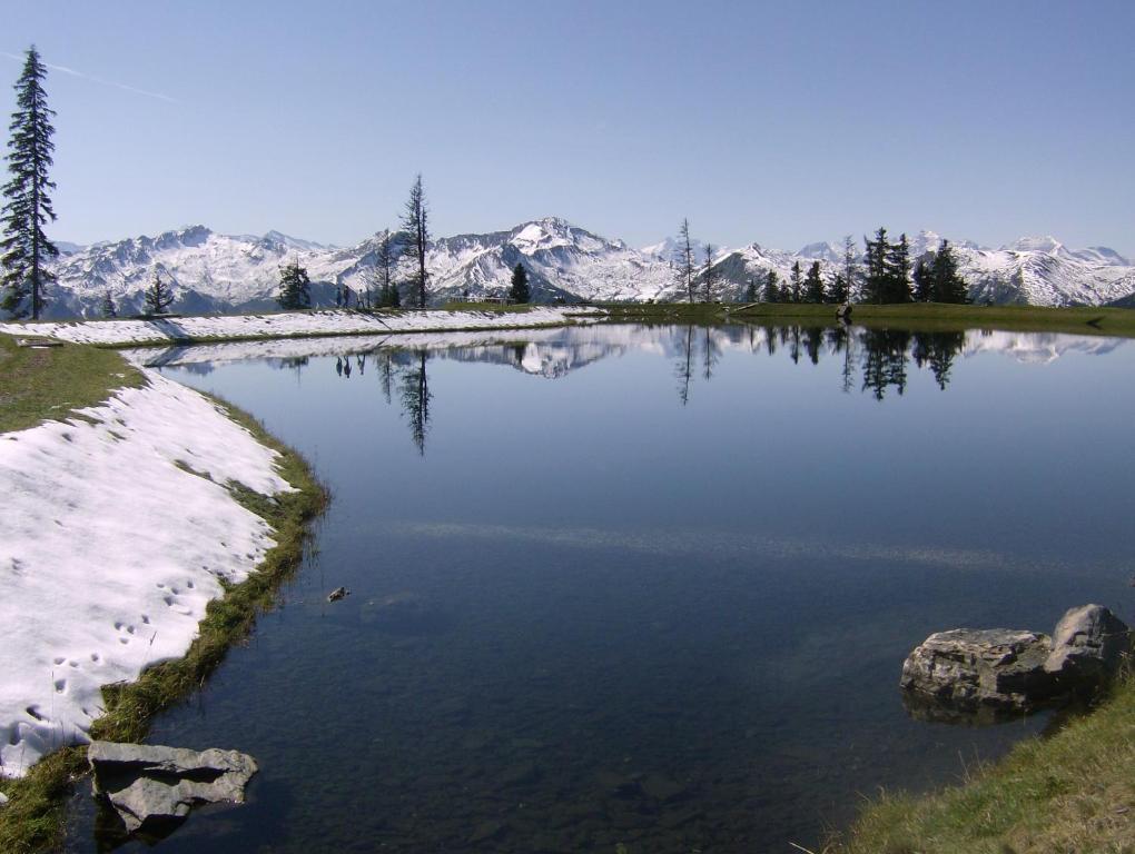Gaestehaus Gratz - Inklusive Eintritt In Die Alpentherme Dorfgastein Kültér fotó