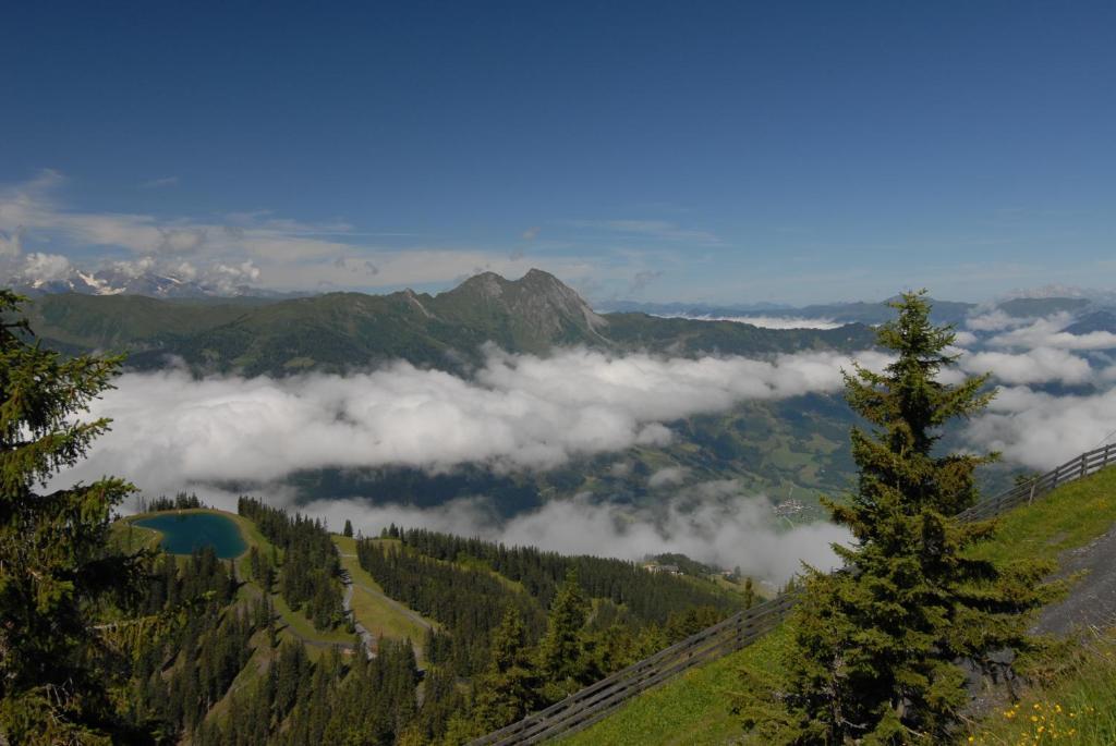 Gaestehaus Gratz - Inklusive Eintritt In Die Alpentherme Hotel Dorfgastein Kültér fotó