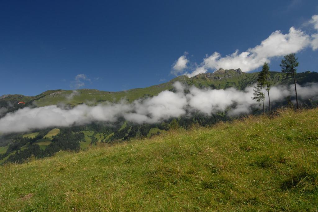 Gaestehaus Gratz - Inklusive Eintritt In Die Alpentherme Hotel Dorfgastein Kültér fotó